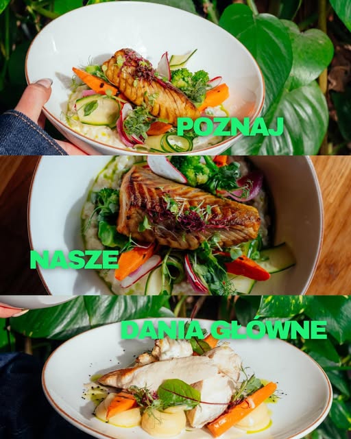 Menu dnia